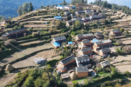करेसाबारीमा घाँस, धारामा कमिला